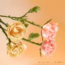 Roses.webp