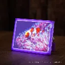 Nemo.webp